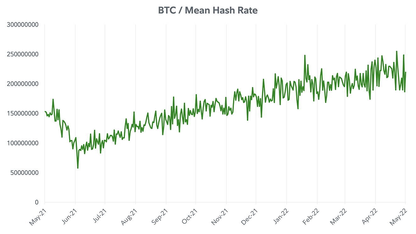 Line chart showing the mean bitcoin hash rate from May 2021 to May 2022.